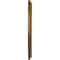 Ekena Millwork Bradford Ceiling Medallion (Fits Canopies up to 6 5/8"), 12 1/2"OD x 3 7/8"ID x 3/4"P, Smokey Topaz CM12BRSTF - alternate 3
